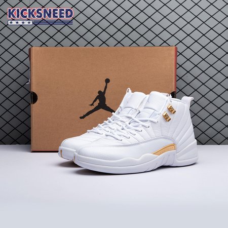 Air Jordan 12 "Phantom" FD9101 007 Size 40-47.5