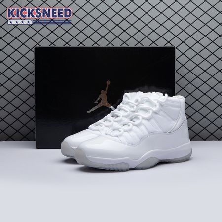 Jordan 11 Retro Silver Anniversary (2010) 408201-101